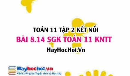 Bài 8.14 SGK Toán 11 Tập 2 Kết nối tri thức